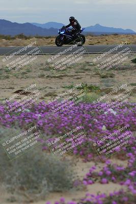 media/Jan-14-2023-SoCal Trackdays (Sat) [[497694156f]]/Turn 14 Exit Bloomig (145pm)/